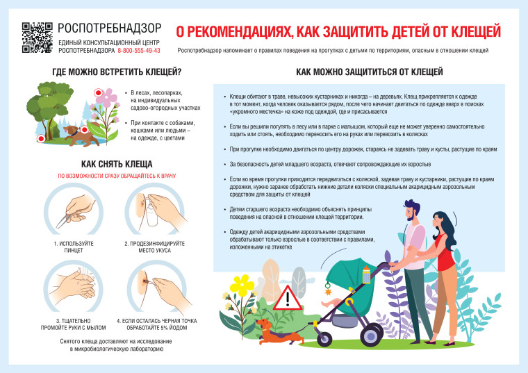 О рекомендациях, как защитить детей от клещей.